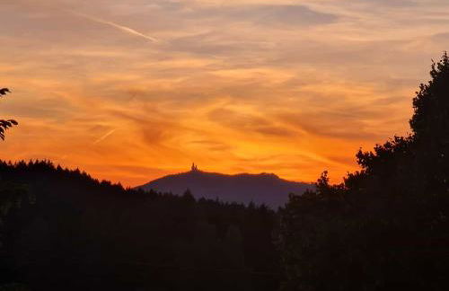 Ferienwohnung Osserglück - Foto 33