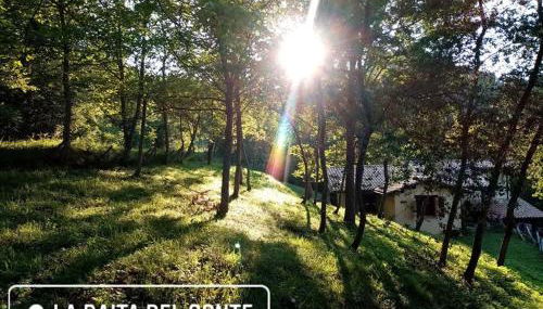 LA BAITA DEL CONTE - Foto 5