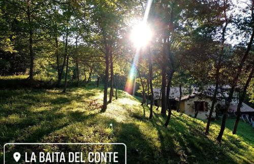 LA BAITA DEL CONTE - Photo 5