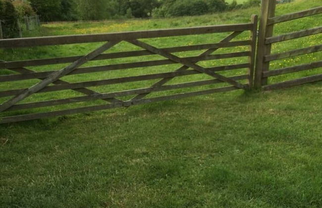 Y Twlc Mochyn - Ecofriendly - Farm Animals - Foto 20