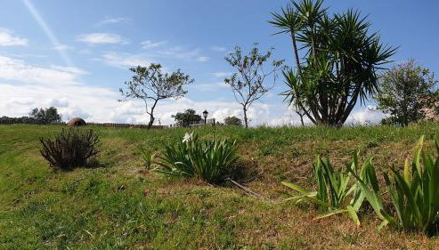 Finca la Carb0nera - Foto 3, Garden