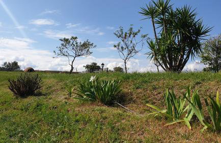 Finca la Carb0nera - Foto 3