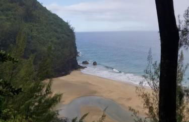 Puu Poa Ocean Bluff Condo, Incredible Views, Walk to Beaches, Pool & Tennis - Foto 54