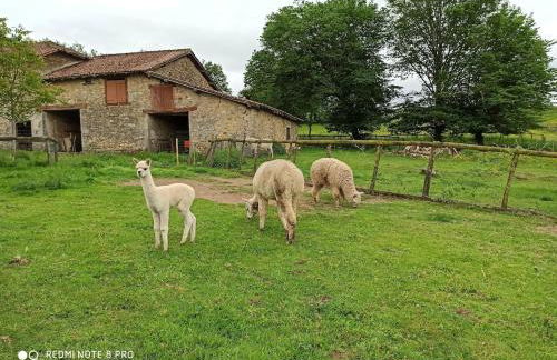 joli gîte plain pied - Foto 37