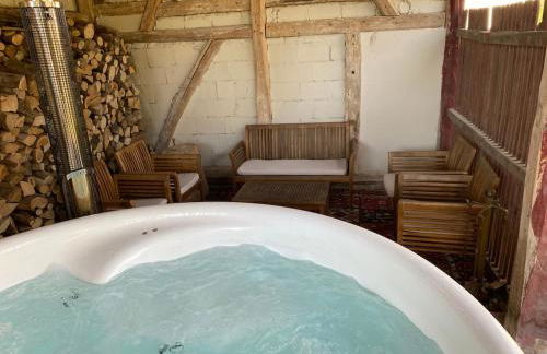 Longère des Templiers near Troyes - Foto 31