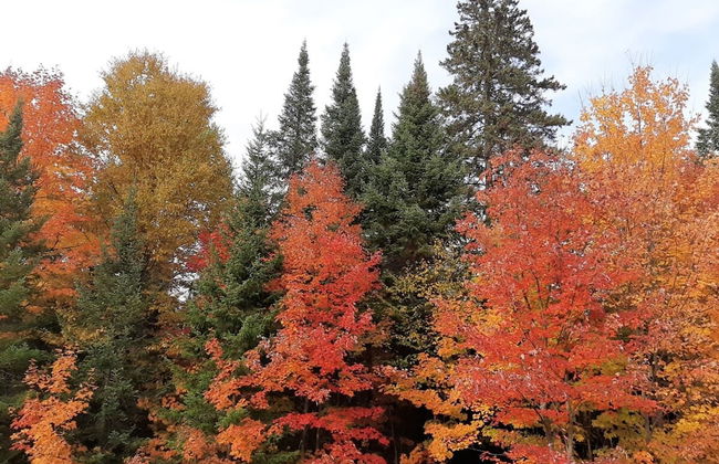 Le M Sangeai Citq 300267 - Foto 30