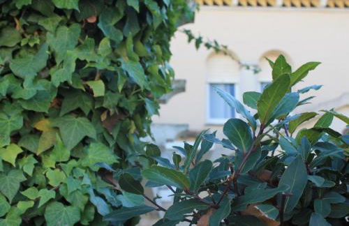 Suitur casa baquera en la playa larga roda de bará - Foto 30