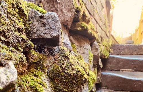 Old country cottage - Foto 21