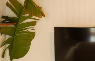 La Paredita Casa Acentejo - Foto 21