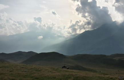 Da Giulia e Pietro Antonio - Foto 22