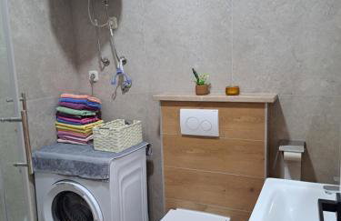 Apartman Iko Cista Provo - Foto 33