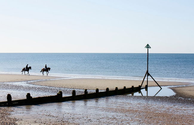 Beachfront House w Pool Steam - Photo 5