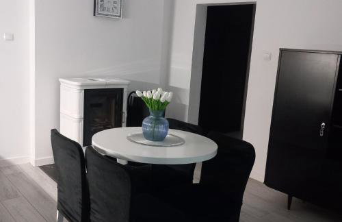 Apartament z kominkiem RetroGlam - Foto 15