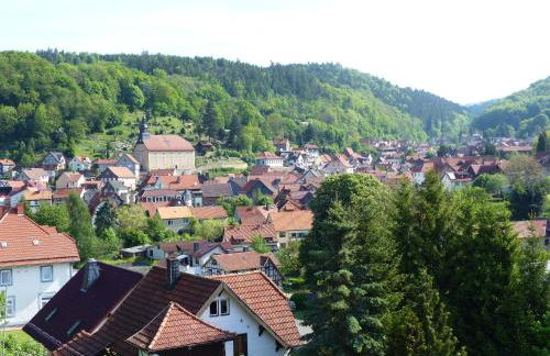 Fewo Zum alten Bergdoktor - Foto 13