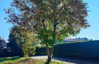 Apartment Walnuss - Photo 8