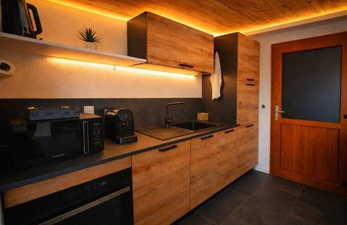 COCOON SPA-4 Pers-Jacuzzi-Parking-Jardin-Clim-Colmar - Foto 13