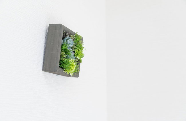 Sakamoto- House - Foto 11