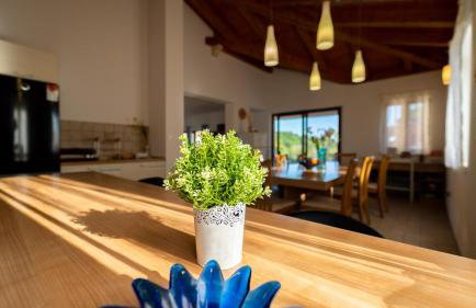 Villa Arton heated swimming-pool - Photo 60