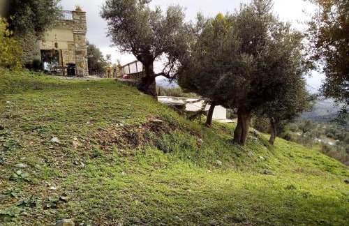 Old Olive house - Foto 14
