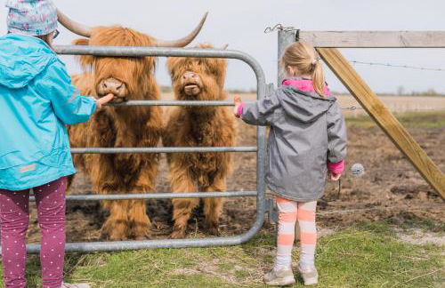 Büdlfarm - Der Familien-Erlebnishof in Strandnähe - Foto 20