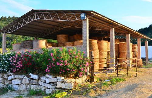 Agriturismo Terre di Musignano - Foto 69