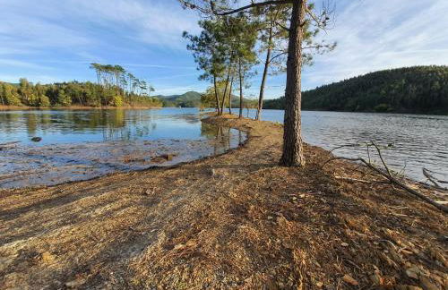 Quinta Dos Avós Lourenço - Foto 33