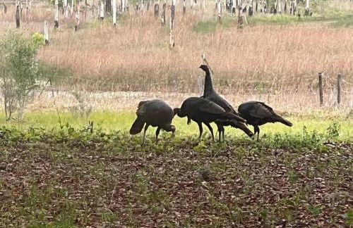 Half Moon Lake property - Foto 31