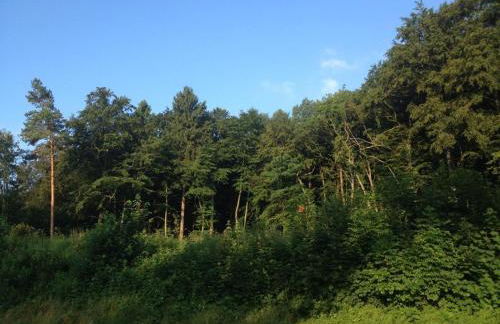 Ferienwohnung Eldorstal 2 - Urlaub mit Hund in Bad Harzburg - Foto 19