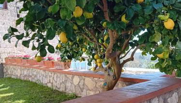 Mira Mila - casa vacanze con giardino a Massa Lubrense - Foto 2, Garden