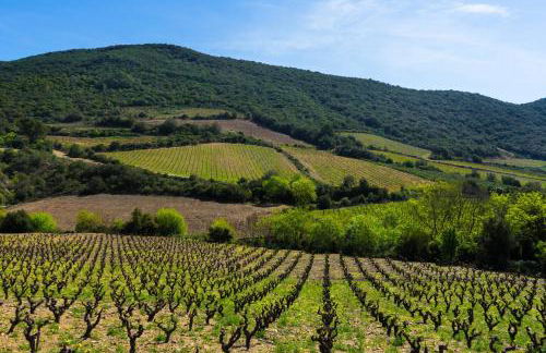 Marquise de Roc - Foto 72