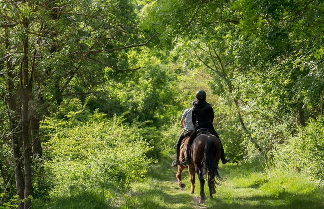 Passeggiata a cavallo a Baños de Agua Santa - Foto 2