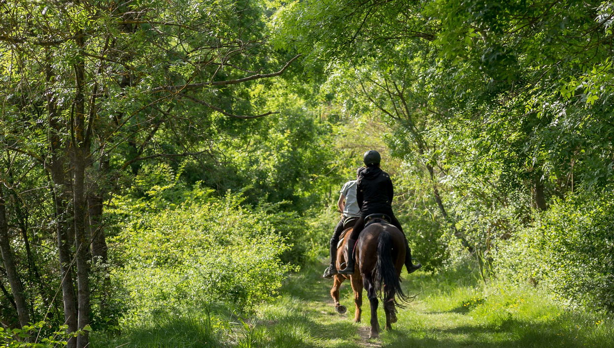 Paseo a caballo por Baños de Agua Santa