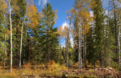 Black Diamond Lodge - Foto 31