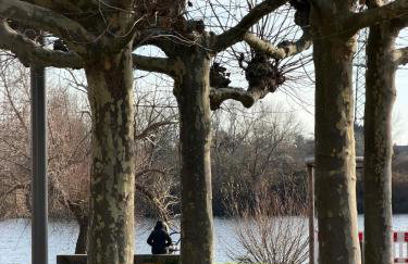 Art and Elegance, Family Friendly 2Bedroom Apartment near Frankfurt Airport, Free Parking - Foto 33