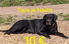 Ferienwohnung Bohnert-Arias - Foto 18