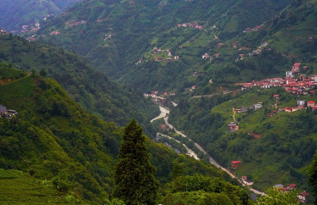 Cemilyano Bungalow - Foto 50