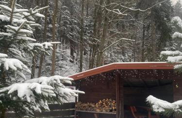 Przystanek Leśna-3 Apartamenty nad potokiem w sercu natury - Foto 66