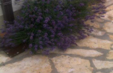 Apartment Tuja - Foto 35