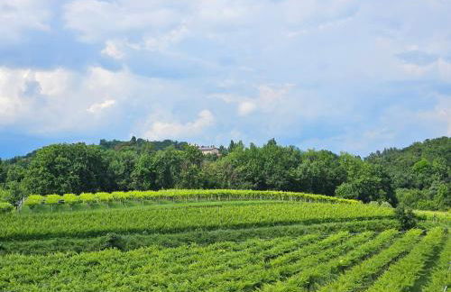 A Garda Dream Luxury Apartments - Foto 62