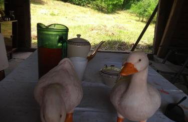 Camp Warmia - Foto 62