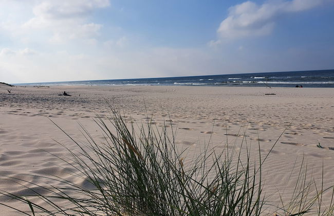 Fantastic House, Located Among Meadows and Nature, Near the Sea - Photo 64