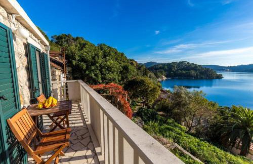 Pansion Mali Raj - Photo 14