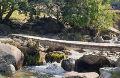 Roulotte en bois Sud France - Foto 31