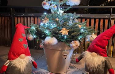 T2 - Balcon -15 min centre ville et Allemagne - Foto 23