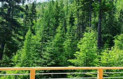 Cabin 6 The BIKE HAUS - Foto 26