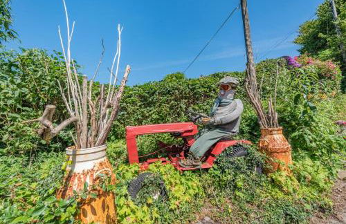 2 Bed in Llandeilo oc-waw313 - Foto 23