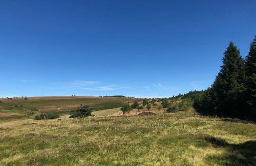 CHARMANT CHALET dans les monts du Forez - Foto 20