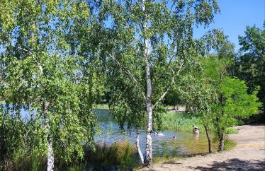 Haus am See Annahütte - für bis zu 6 Personen - Foto 24