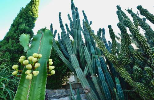 Torre Costa Brava Private pool - Foto 29