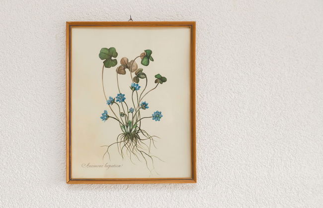 Djabò 1er - Foto 18